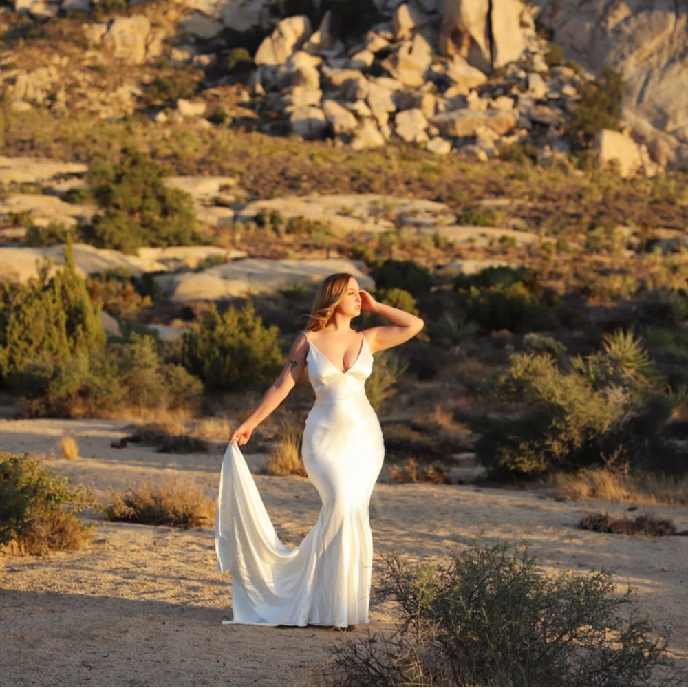 Theia Jean Dress